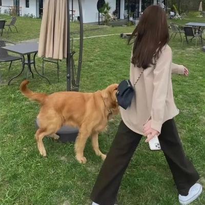 素拉之梦